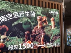 -野·大山里野生菌石锅土鸡(益田假日店)