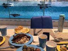 -帝企鹅自助餐厅•儿童岛•真企鹅(长隆企鹅酒店)