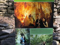 -怀托摩萤火虫洞