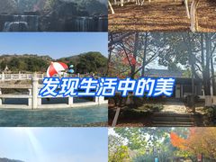 -白马涧龙池景区
