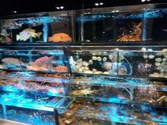 零售区-彩福皇宴(皇室堡店)