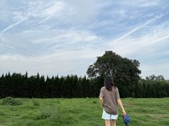 -汉长安城未央宫国家考古遗址公园