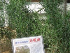-石家庄市植物园
