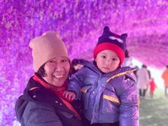 -绿野森林乐园冰雪季