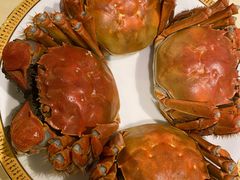 清蒸大闸蟹-王宝和酒家(黄浦店)
