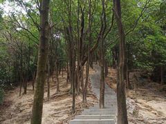 -火炉山森林公园