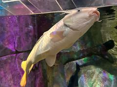 -沈阳海洋探索中心