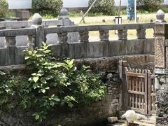 -苏州文庙(姑苏区)
