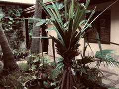 -厦门日月谷温泉渡假村