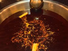 -花鲢鱼头火锅(春城东路店)