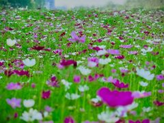 -北沙滩(地铁站)