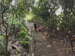 -水濂山森林公园