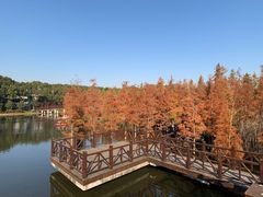 -同里国家湿地公园