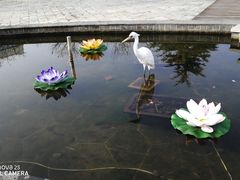 -威海天沐温泉度假区