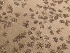 -南澳海滩
