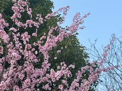 -天鹅湖体育公园