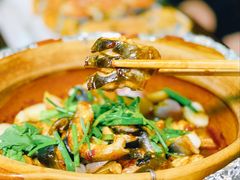 -金龙·打边炉(南京西路店)