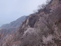 -北京凤凰岭