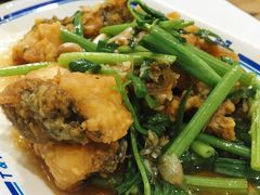 石斑鱼-T&K 海鲜