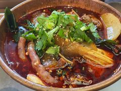 -极乐小煮·成都冒菜(科技绿洲店)