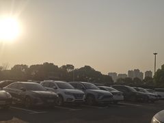 -顾村公园3号门停车场