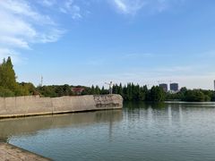 -青枫公园