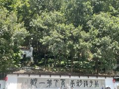 -严子陵钓台(富春江小三峡)
