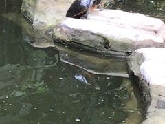 -狼山风景名胜区