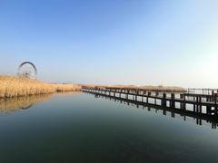 -苏州太湖湖滨国家湿地公园