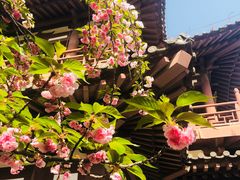-西安青龙寺遗址景区