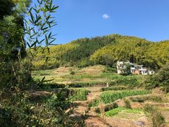 -灵山景区梯田