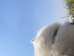 -科道动物医院·急重症中心(万达院)