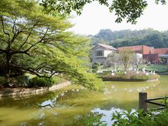 -广州雕塑公园