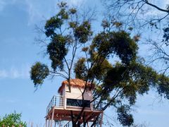 -福建鲤鱼洲酒店