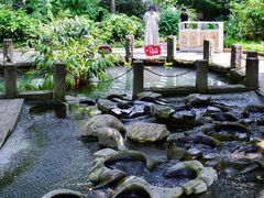 -成都市活水公园