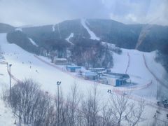 -亚布力新体委滑雪场