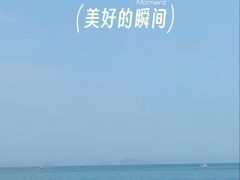-杨梅坑