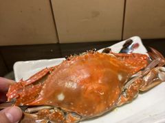 -吉兆·料理(红梅南路店)