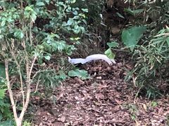 -福建鲤鱼洲酒店