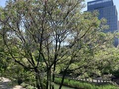 -杭州城北体育公园
