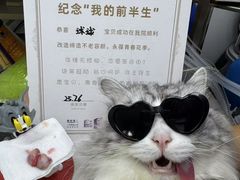 -芭比堂动物医院·心脏专科·夜诊·吉雅分院