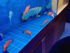 -双季花艺园艺市场(浦东店)