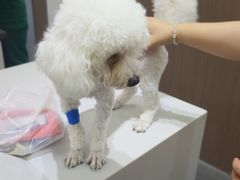 -派特宠物医院(圆融广场店)