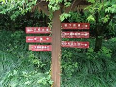 -午潮山国家森林公园