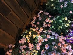 -斯多格书乡(北京大学畅春园店)