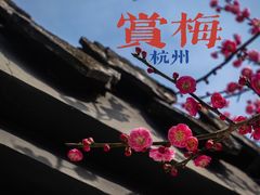 -杭州植物园