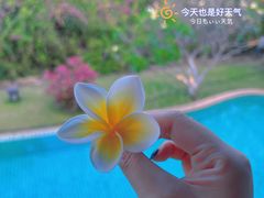 -三亚亚龙湾五号度假别墅酒店