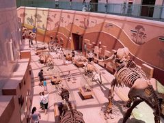 -陕西自然博物馆