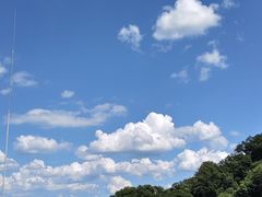 -栾川竹海野生动物园