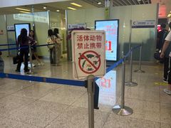 -厦门高崎国际机场-T4航站楼